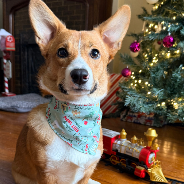 Customer photo for Holiday Shit Show Supervisor Bandana