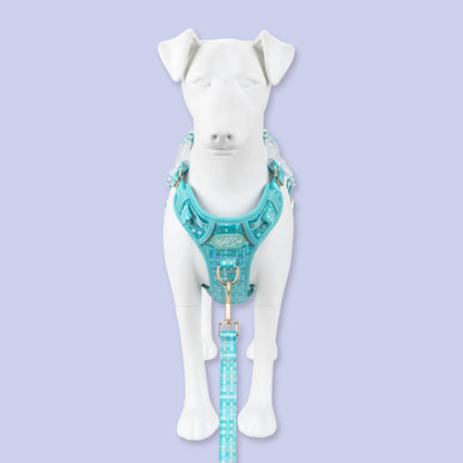 Step & Switch® Dog Harness: Belgravia Sweetpea