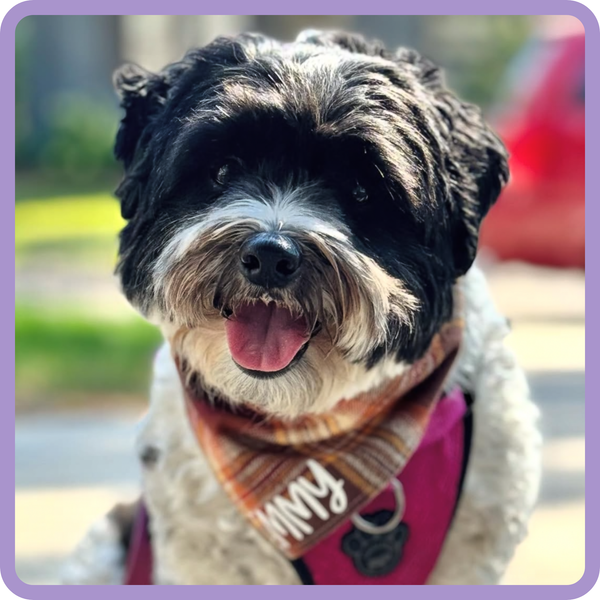 Customer photo for Dark Orange Flannel Bandana