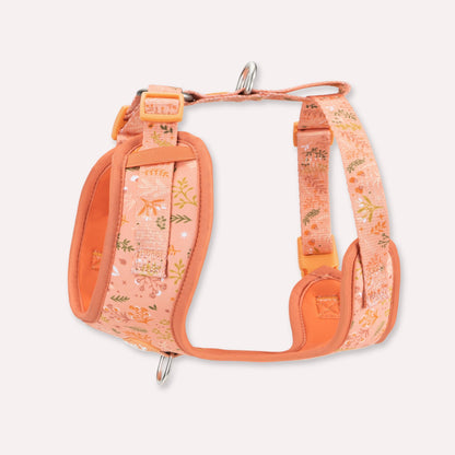Adjustable Dog Harness: Chiswick Papaya