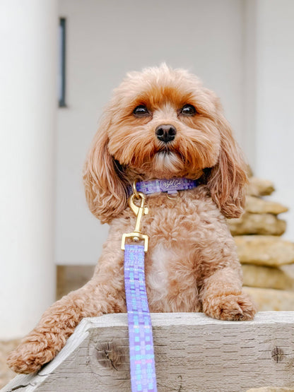 Dog Lead: Belgravia Sugarplum