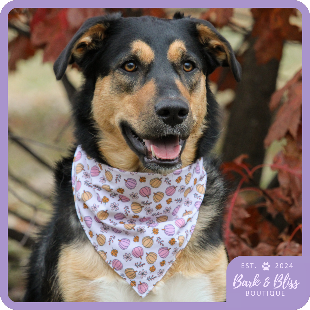 Pumpkins Bandana