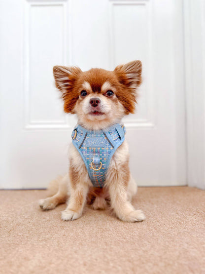 Step & Switch® Dog Harness: Belgravia Macaron