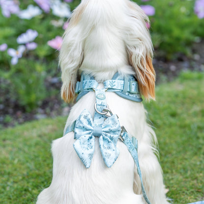 Dog Sailor Bow: Chiswick Pistachio