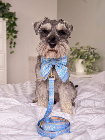 Dog Butterfly Bow: Belgravia Macaron