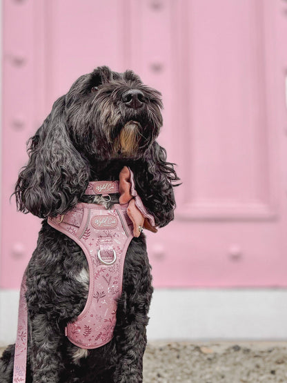 Adjustable Dog Collar: Chiswick Rosewood