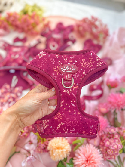 Adjustable Dog Harness: Chiswick Dragonfruit