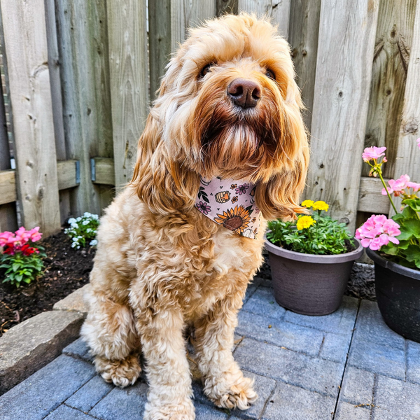 Customer photo for Bumblebee Bandana