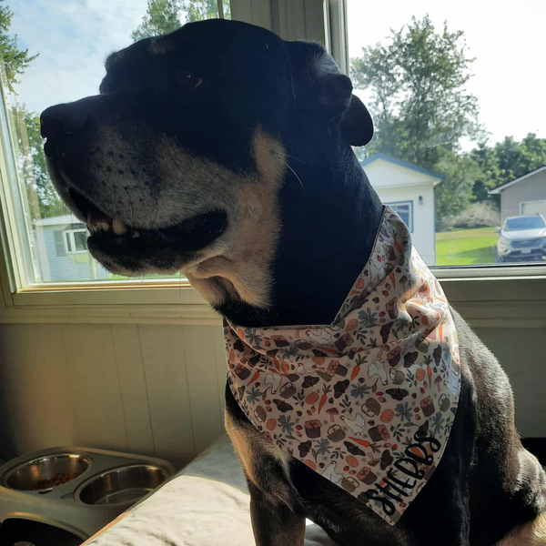 Customer photo for Butterflies and Chickens Bandana