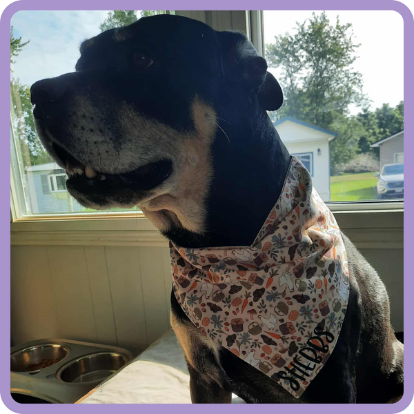Customer photo for Butterflies and Chickens Bandana