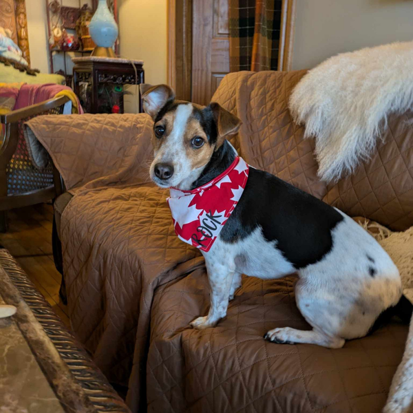 Customer photo for Canada Bandana