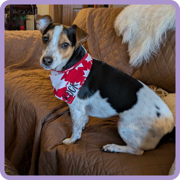 Customer photo for Canada Bandana