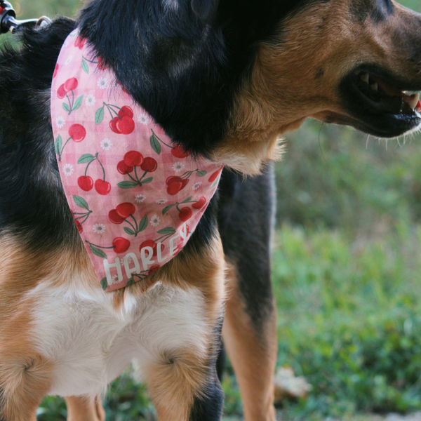 Customer photo for Cherries Bandana