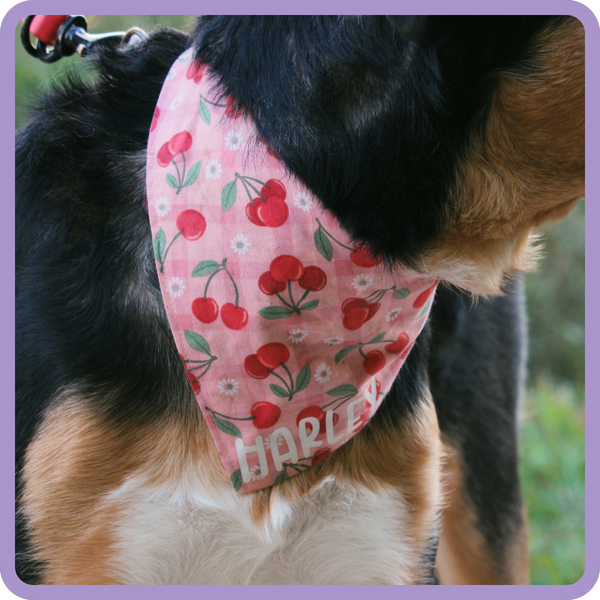 Customer photo for Cherries Bandana