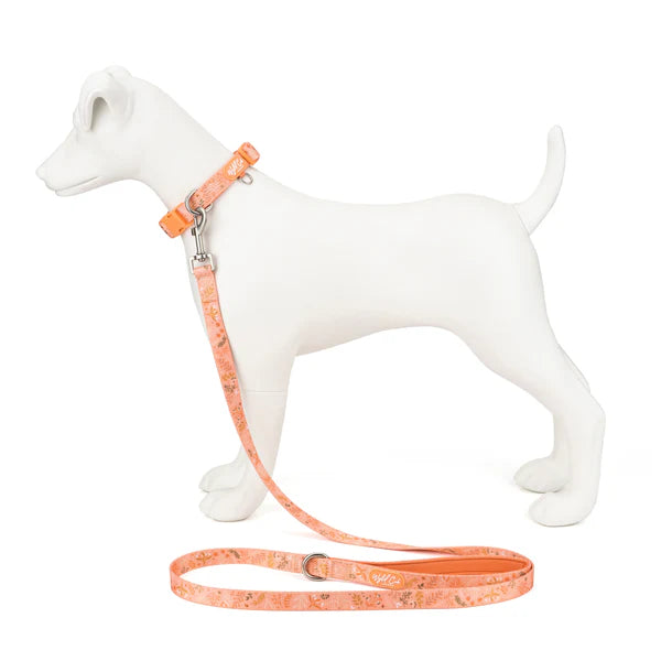 Dog Lead: Chiswick Papaya