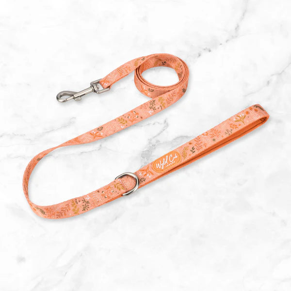 Dog Lead: Chiswick Papaya
