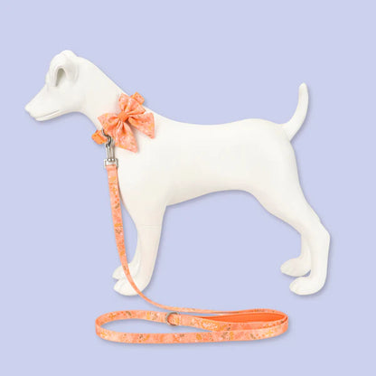 Dog Sailor Bow: Chiswick Papaya