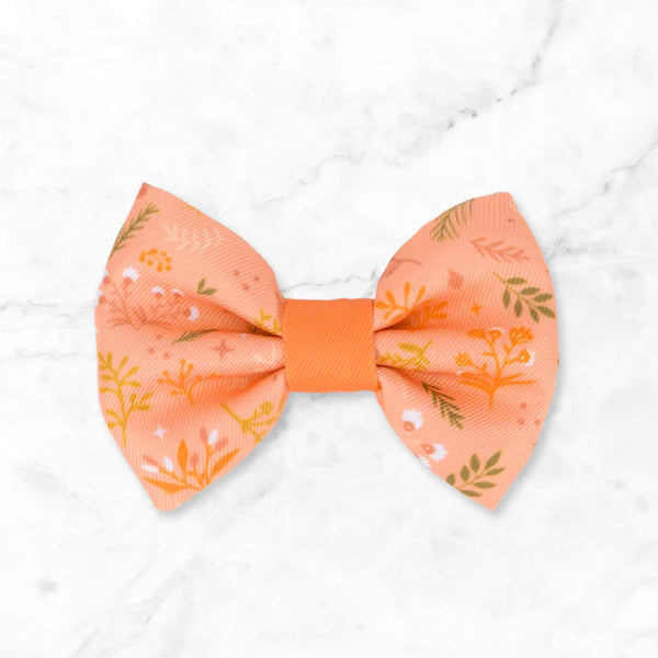 Dog Dickie Bow: Chiswick Papaya