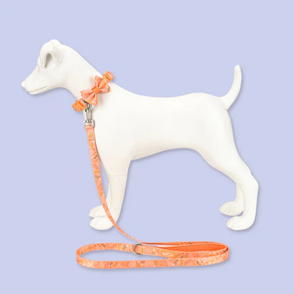 Dog Dickie Bow: Chiswick Papaya