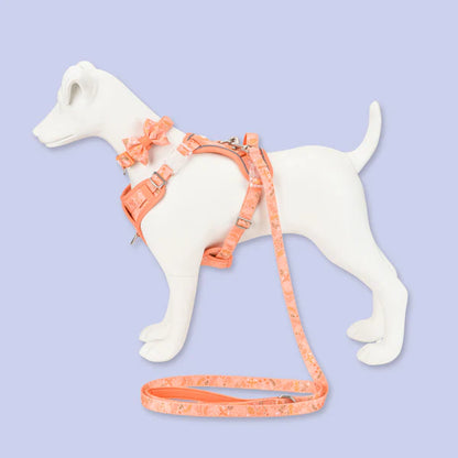 Dog Dickie Bow: Chiswick Papaya
