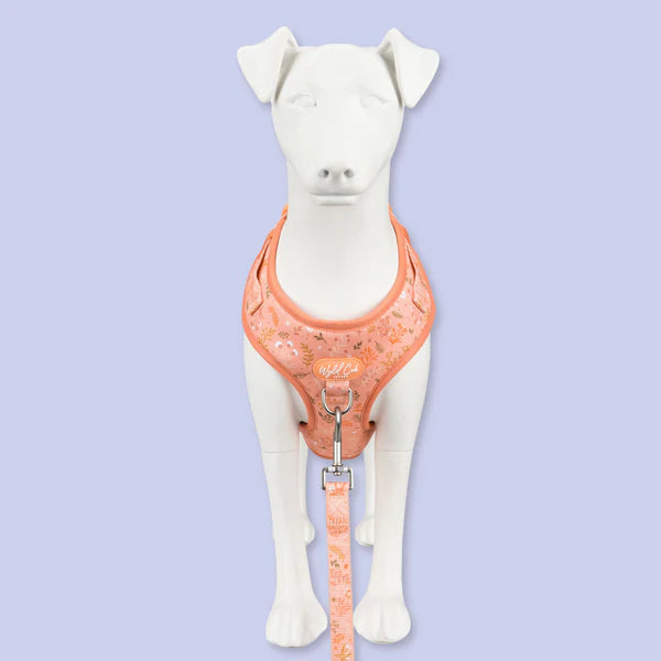 Dog Lead: Chiswick Papaya