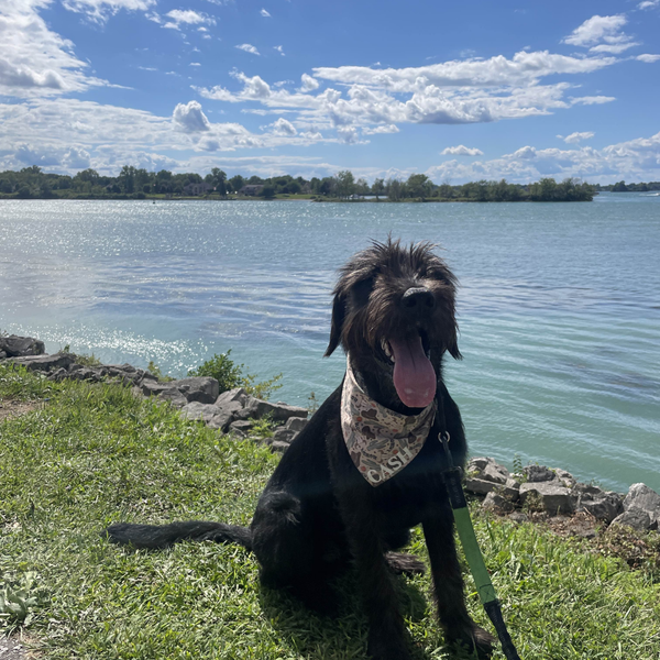 Customer photo for Howdy Bandana
