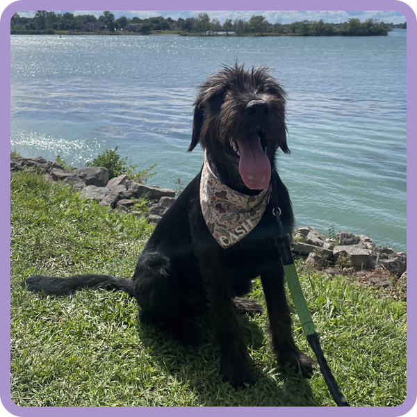 Customer photo for Howdy Bandana