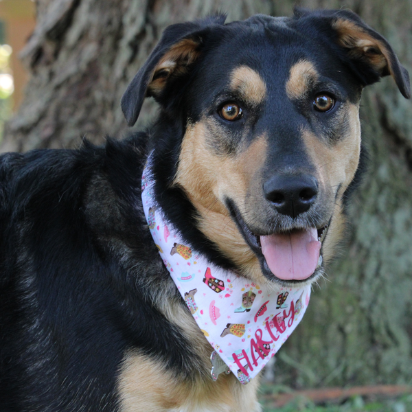Customer photo for Cowgirl Bandana