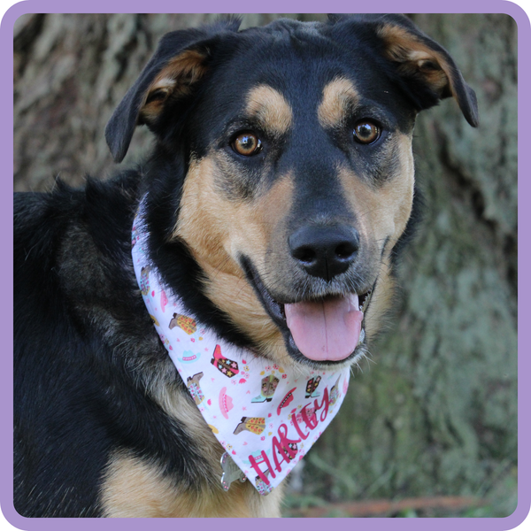 Customer photo for Cowgirl Bandana