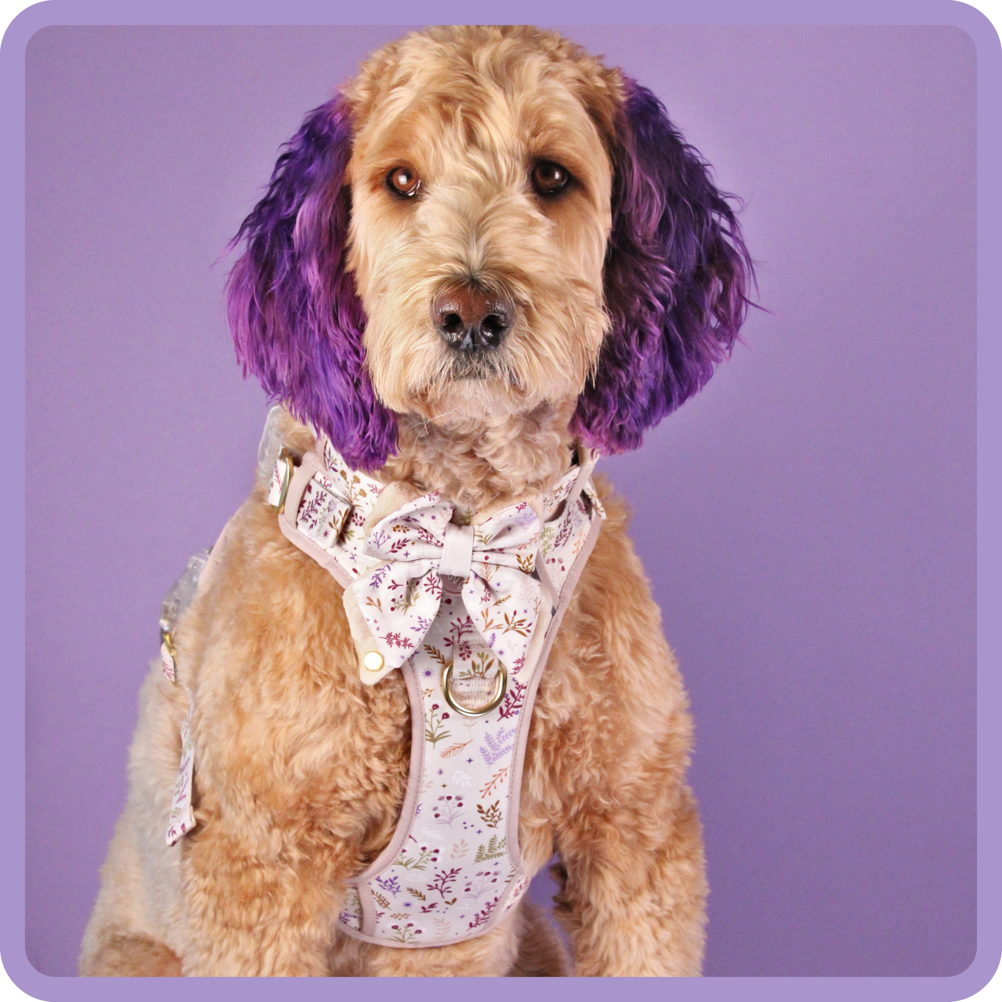Step & Switch® Dog Harness: Chiswick Oyster