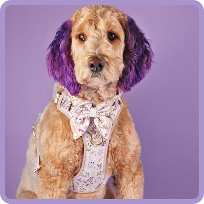 Step & Switch® Dog Harness: Chiswick Oyster