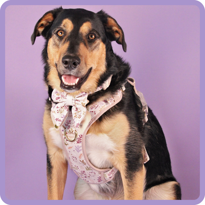 Step & Switch® Dog Harness: Chiswick Oyster