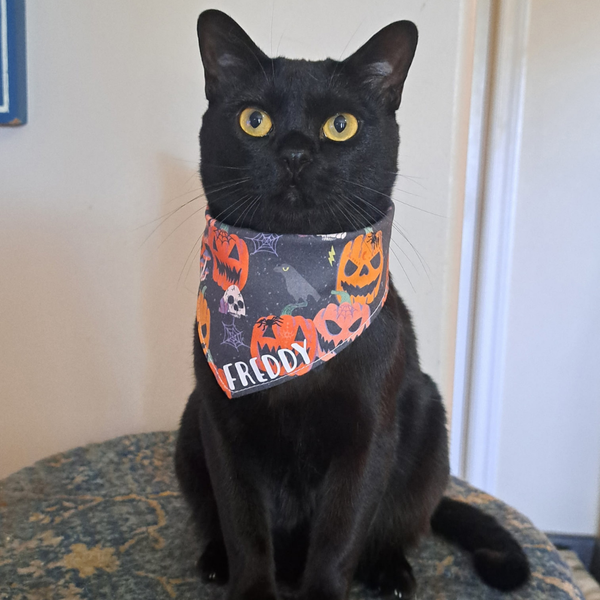 Customer photo for Jack-o'-Lantern Bandana