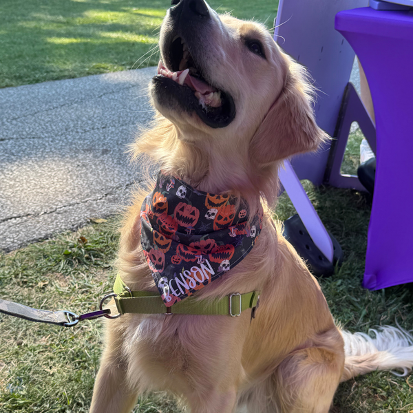 Customer photo for Jack-o'-Lantern Bandana
