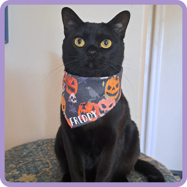 Customer photo for Jack-o'-Lantern Bandana