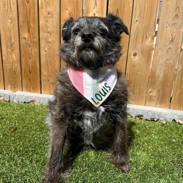 Customer photo for Orange and Green Flannel Bandana