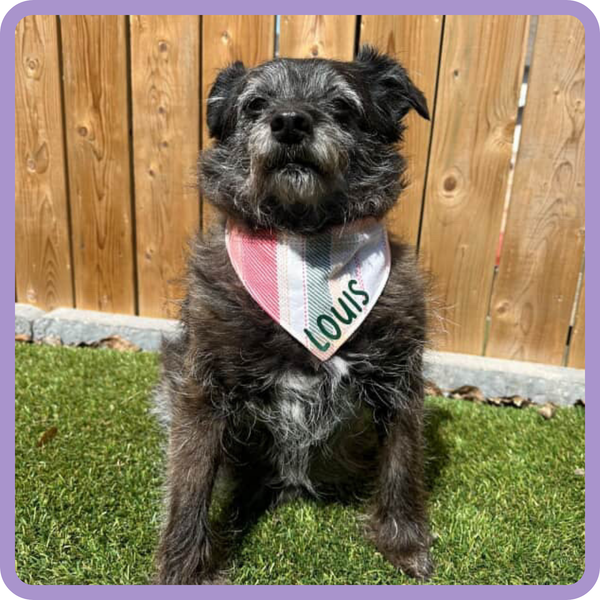 Customer photo for Orange and Green Flannel Bandana