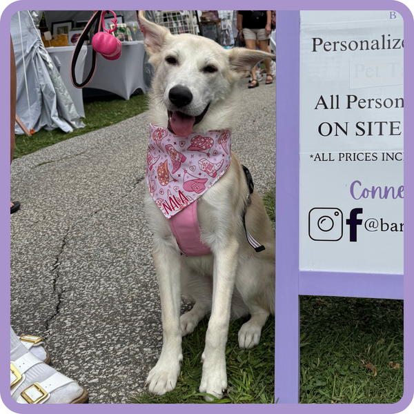 Customer photo for Pink Cowgirl Bandana