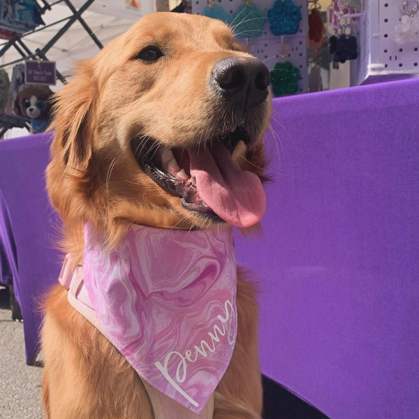 Customer photo for Pink Marble Bandana