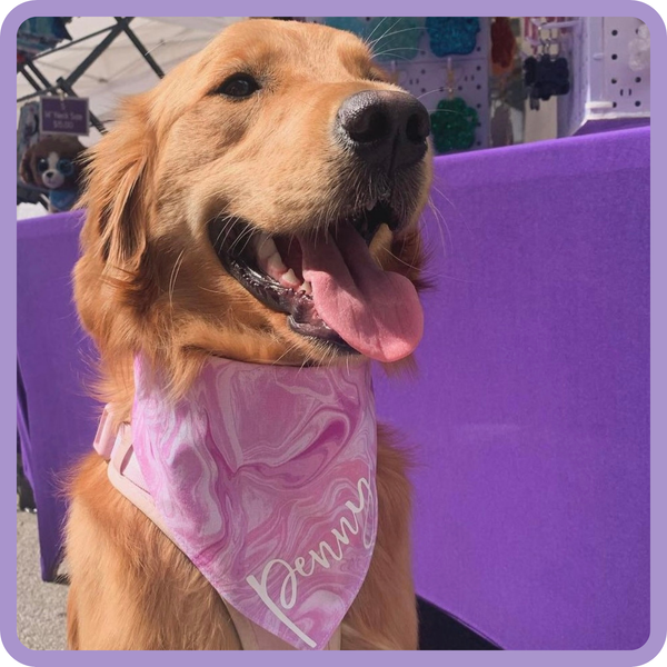 Customer photo for Pink Marble Bandana