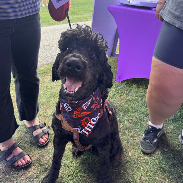 Customer photo for Detroit Tigers Bandana
