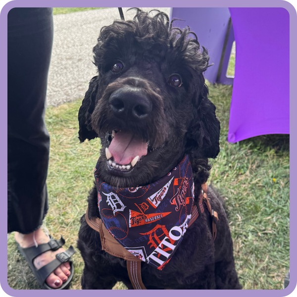 Customer photo for Detroit Tigers Bandana