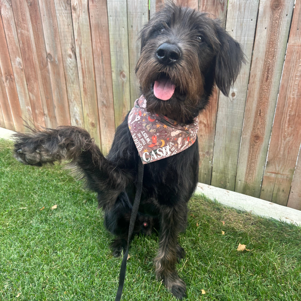 Customer photo for Wilder Than The West Bandana