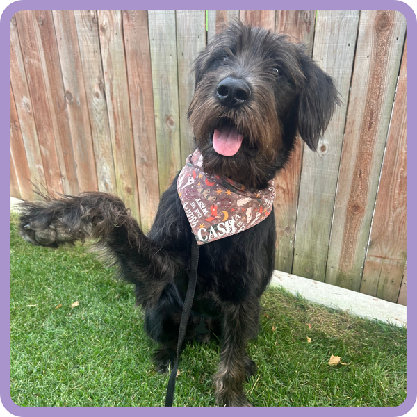 Customer photo for Wilder Than The West Bandana
