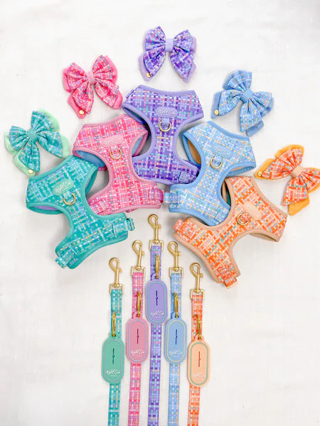 Dog Butterfly Bow: Belgravia Sugarplum