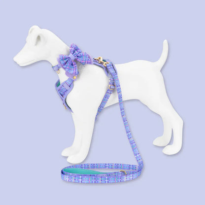 Dog Butterfly Bow: Belgravia Sugarplum