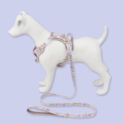 Step & Switch® Dog Harness: Chiswick Oyster