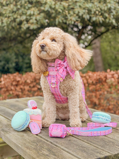 Dog Lead: Belgravia Bonbon