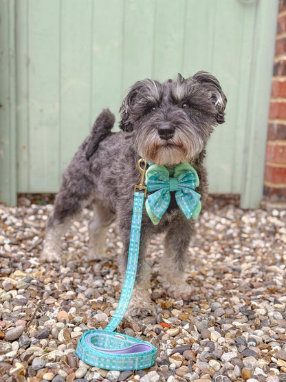 Dog Lead: Belgravia Sweetpea