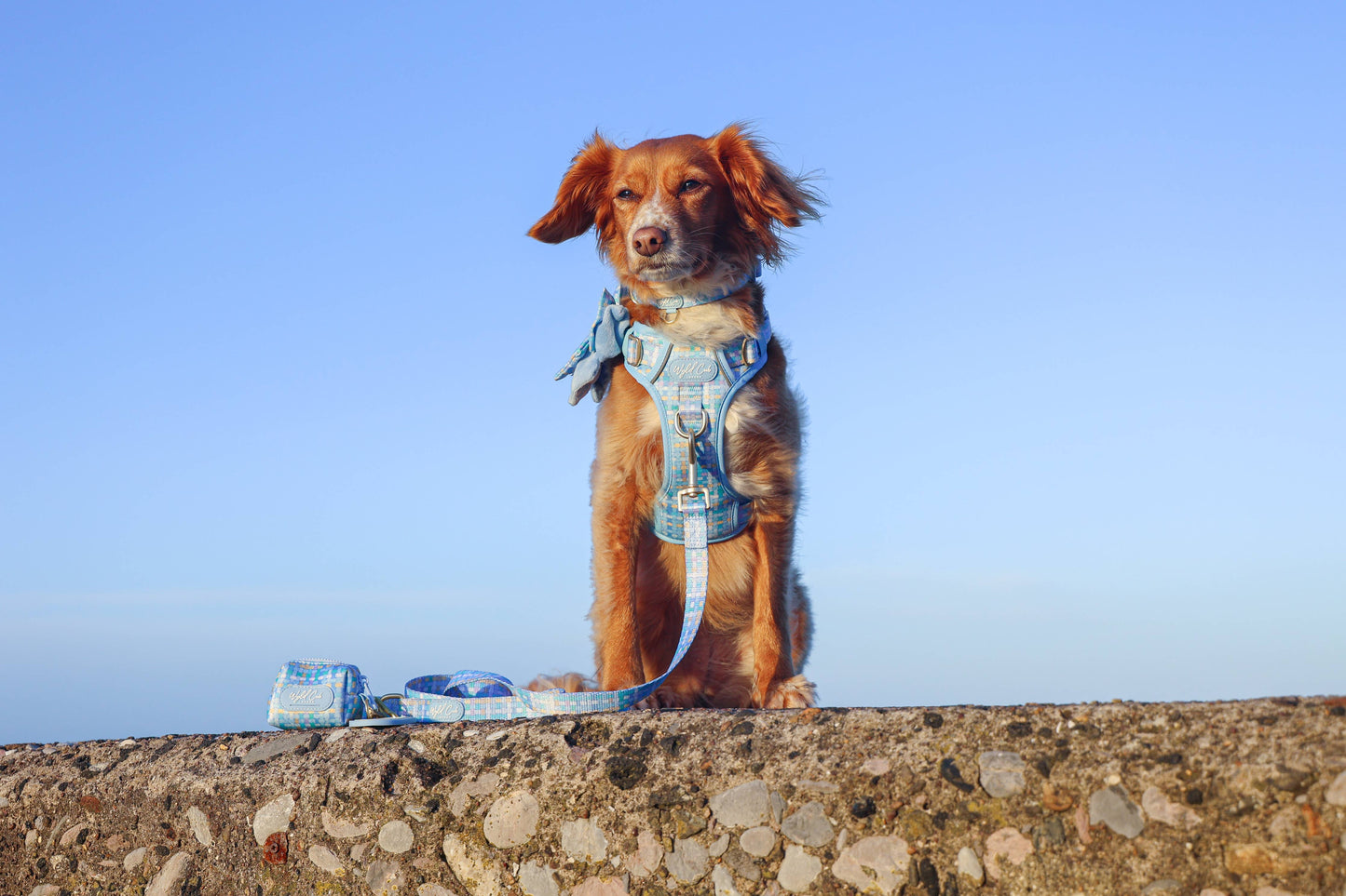 Dog Poop Bag Holder: Belgravia Macaron
